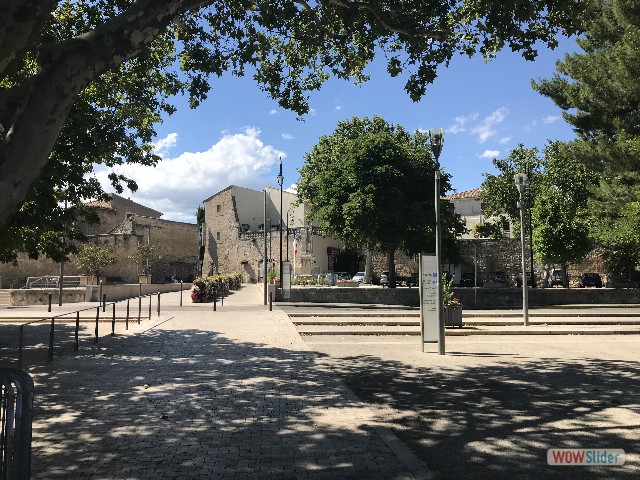 1165_Saint-Paul-Trois-Châteaux