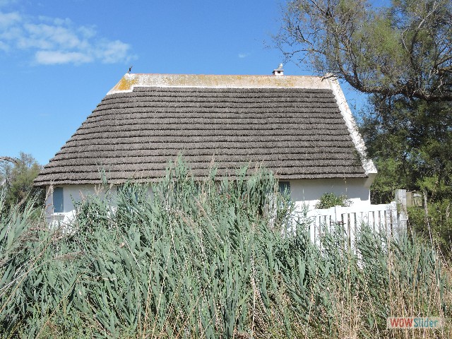 053_Maison Camarguaise