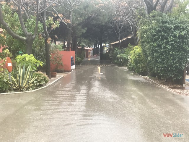 6_Pluie