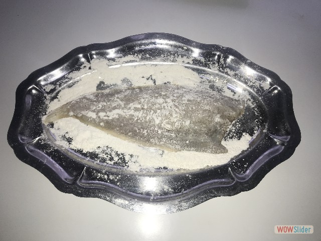 22_Sole 22_Sole