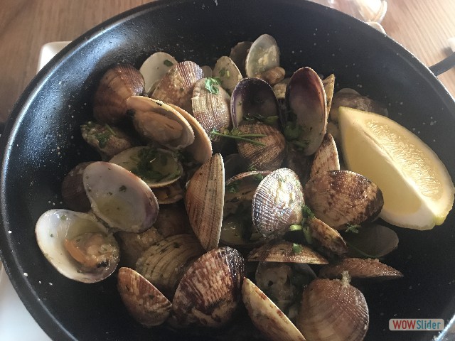 22_Clams wowslider.net