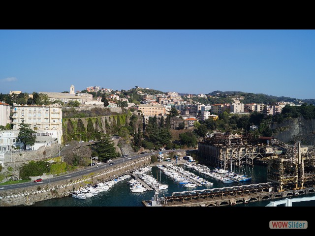 45_Savone
