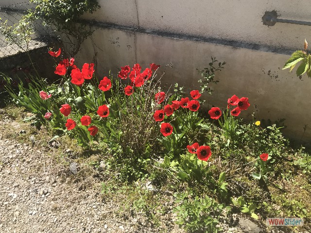 13_Maison 13_Maison