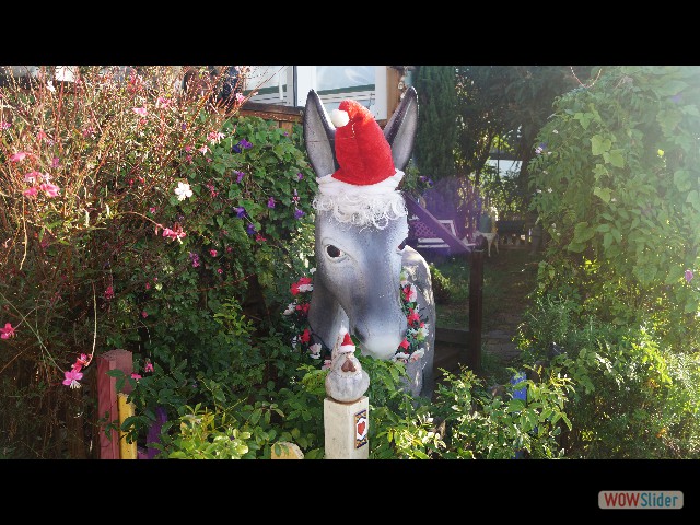 56_Cabopino, mignon tout plein