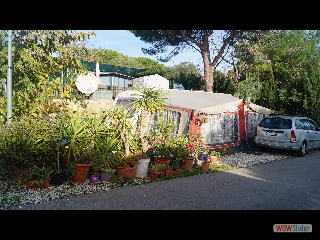 21_Chez ma voisine d'en face