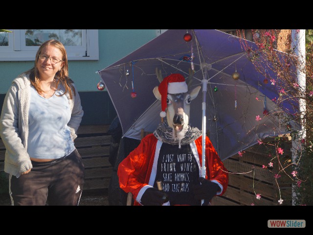 26_C'est Noël 26_C'est Noël