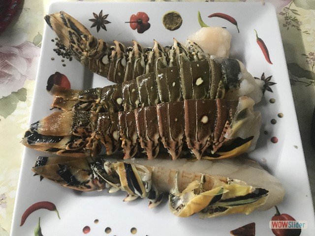 2_Mes queues de langoustes 2_Mes queues de langoustes