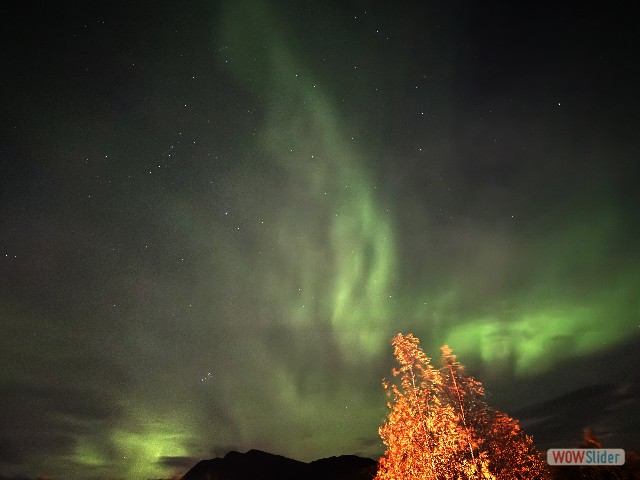 69_Nordkjosbotn, aurore boréale