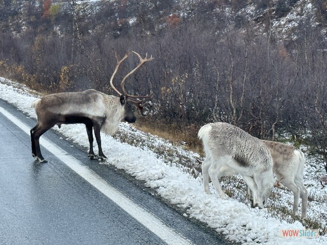 18_Rennes sur la route