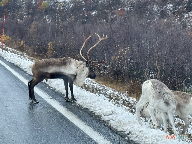 19_Rennes sur la route