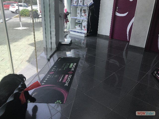 276_Chez le vétérinaire