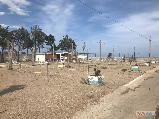 533_Oropesa, camping Didota 533_Oropesa, camping Didota