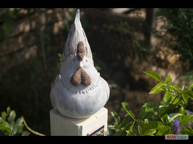 427_Mignon