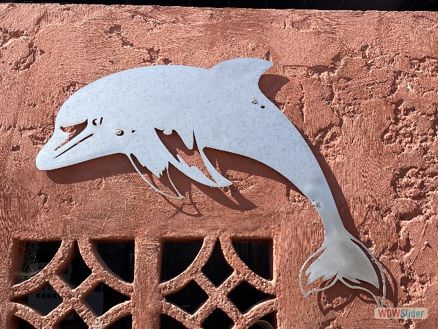 13_Joli dauphins 13_Joli dauphins