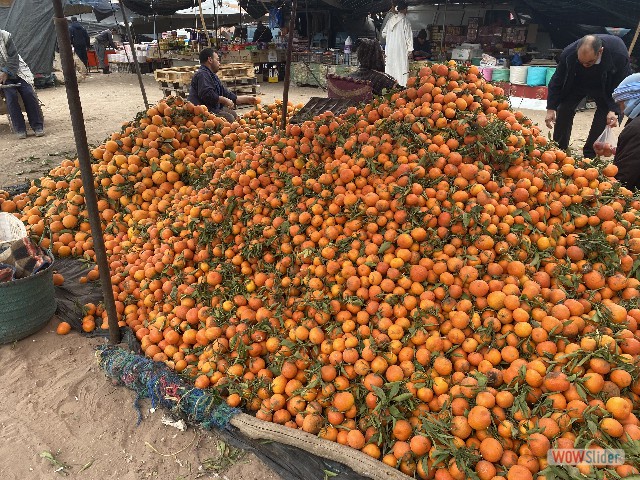 24_Souk Sidi Bibi 24_Souk Sidi Bibi