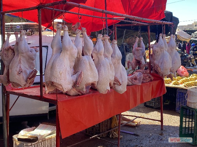 44_Souk Sidi Bibi
