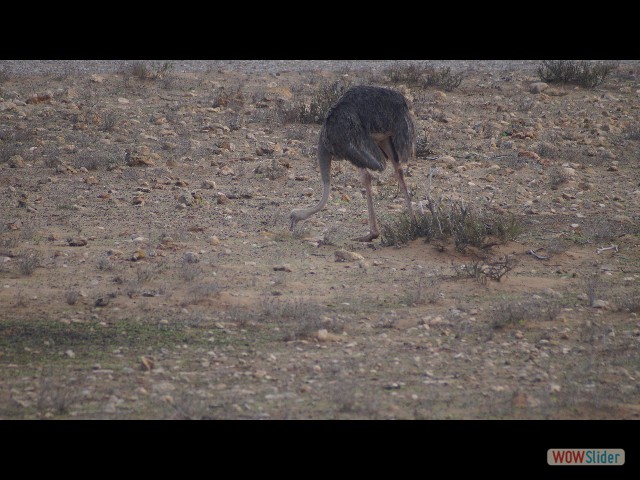 22_Parc Souss Massa 22_Parc Souss Massa