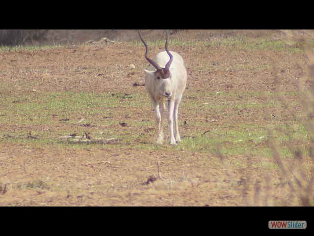 27_Parc Souss Massa 27_Parc Souss Massa