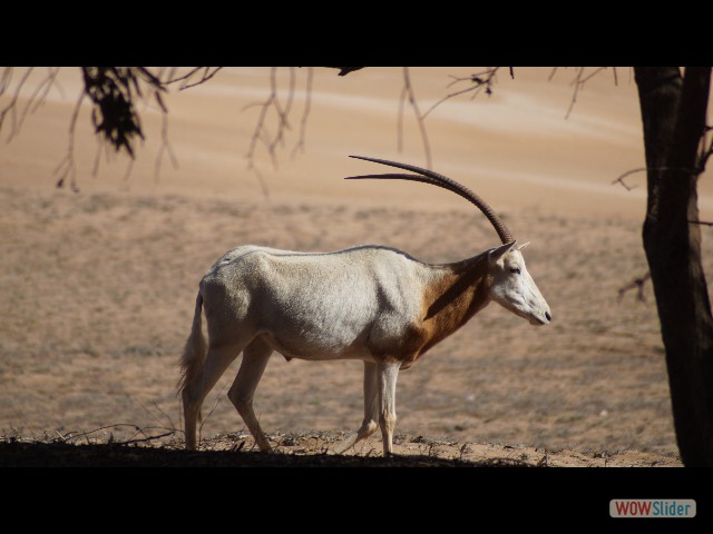 32_Parc Souss Massa 32_Parc Souss Massa