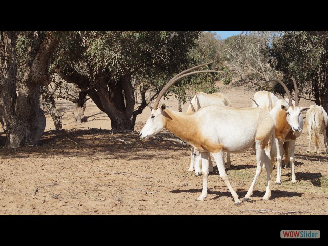 38_Parc Souss Massa 38_Parc Souss Massa