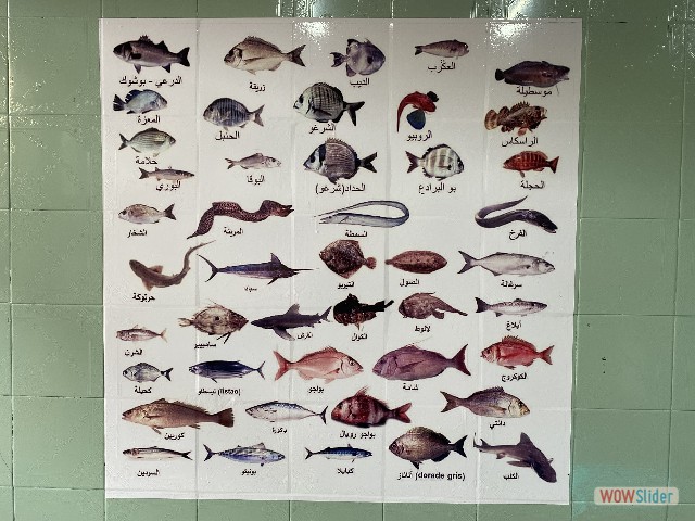 18_Affiche poisson