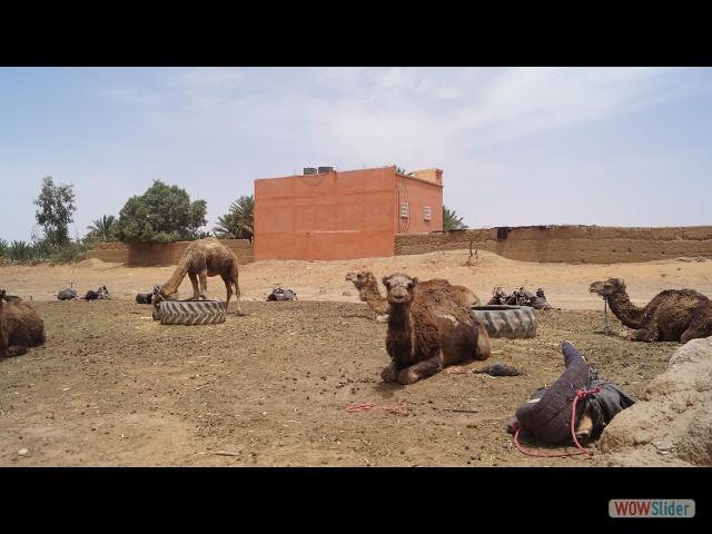 10a_Merzouga 10a_Merzouga