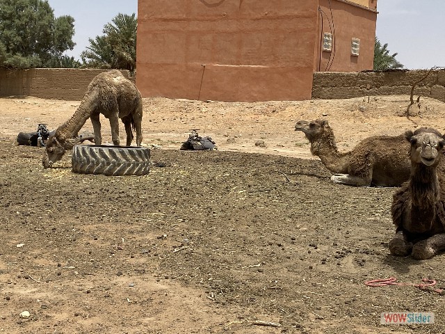 28_Merzouga 28_Merzouga