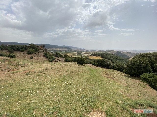 67_Panorama 67_Panorama