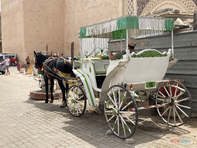 5_Meknès, calèche
