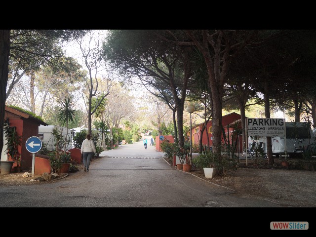 1_Allée du camping Cabopino