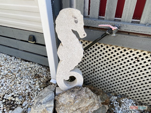 24_Cabopino, mignon