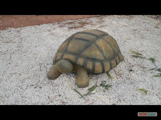 33_Cabopino