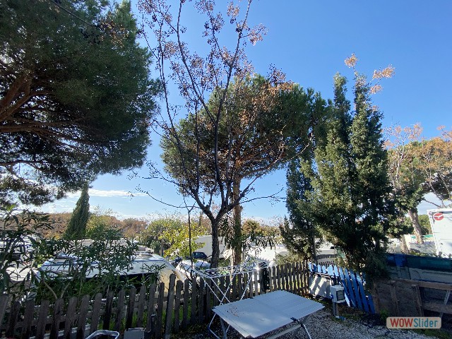 34_Cabopino