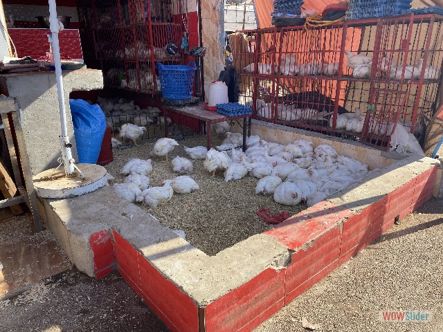 24_Sidi Bibi, souk