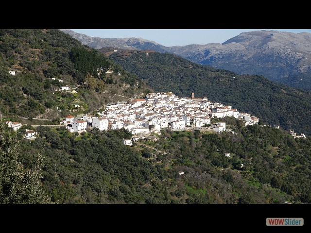 063_Algatocin 063_Algatocin