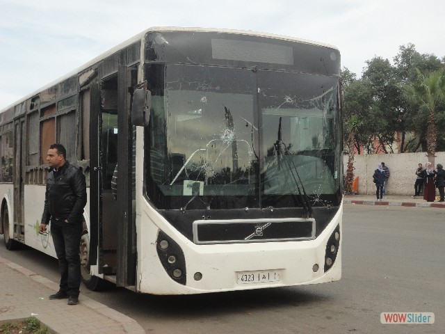 224_Bus Kénitra