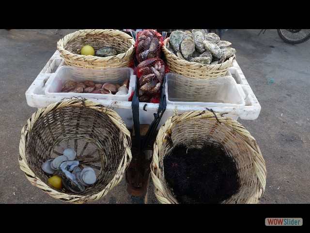 241_Oualidia vendeur de poissons