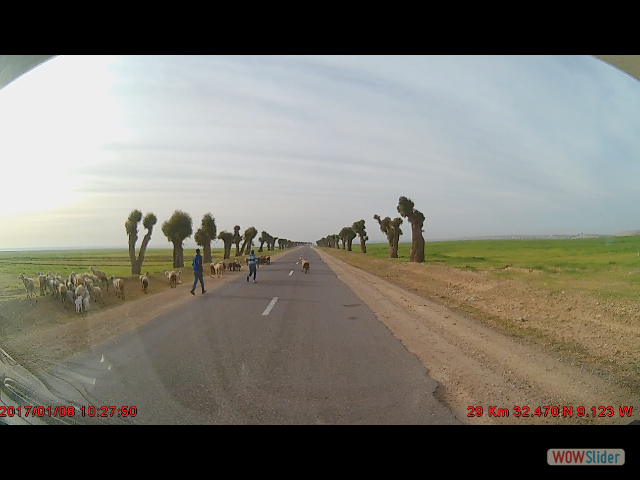 266a_Sur la route