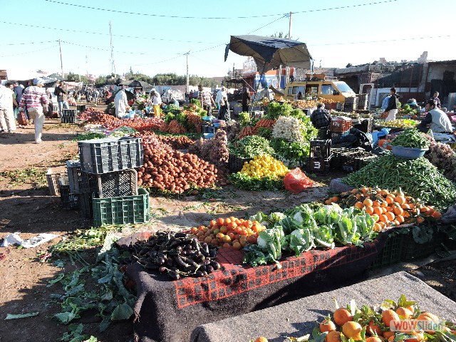 499_Souk Sidi Bibi