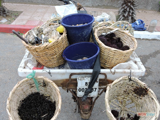 198_Oualidia, vendeur de fruits de mer