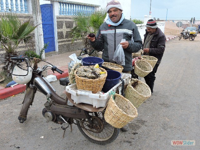199_Oualidia, vendeur de fruits de mer