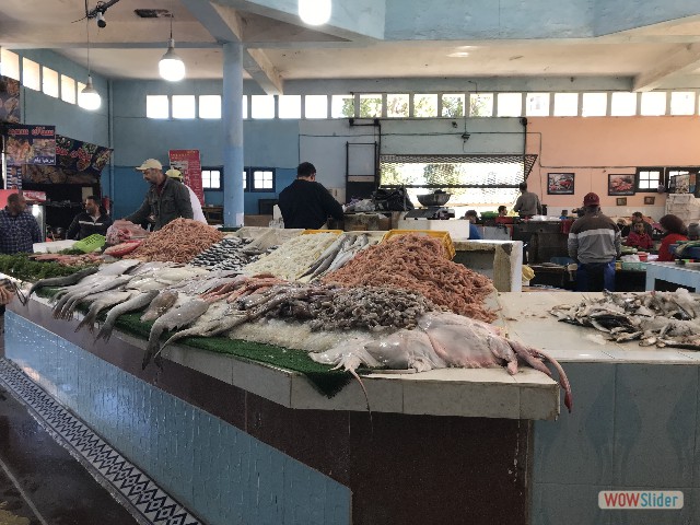 1091_Asilah, marché aux poissons