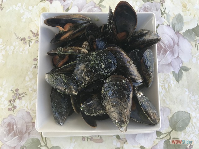 1203_.Peniscola, moules à la vapeur