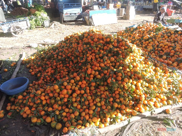366_Sidi Bibi, le souk