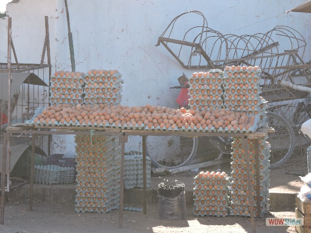 507_Sidi Bibi, souk