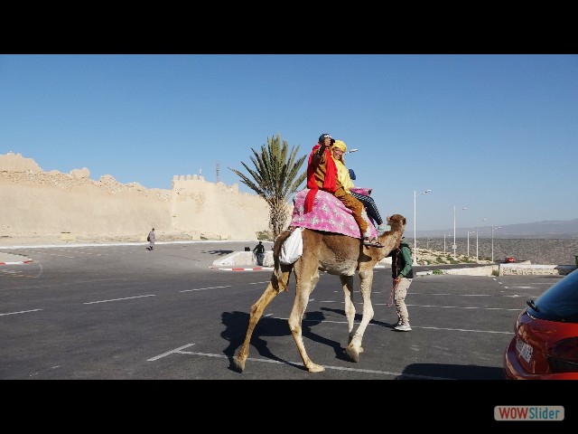 786_Agadir Oufella