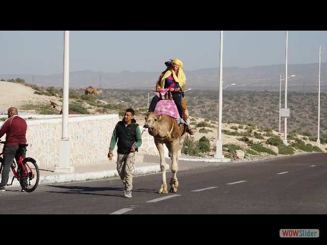 787_Agadir Oufella
