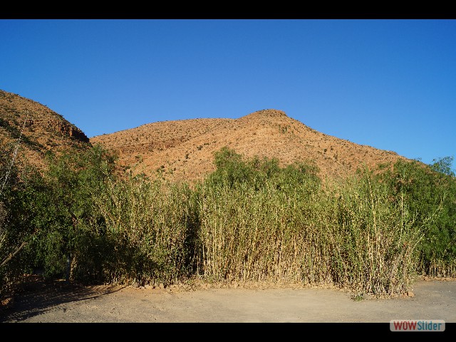 878_Abaynou, camping la Vallée