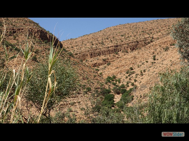 882_Abaynou, camping la Vallée