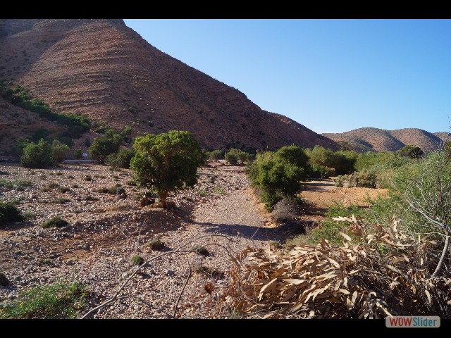 894_Abaynou, camping la Vallée, couscous
